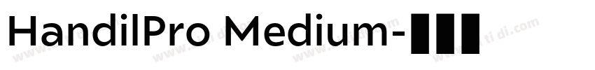 HandilPro Medium字体转换